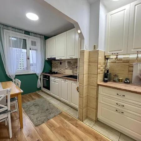 Pinters Apartment Timisoara