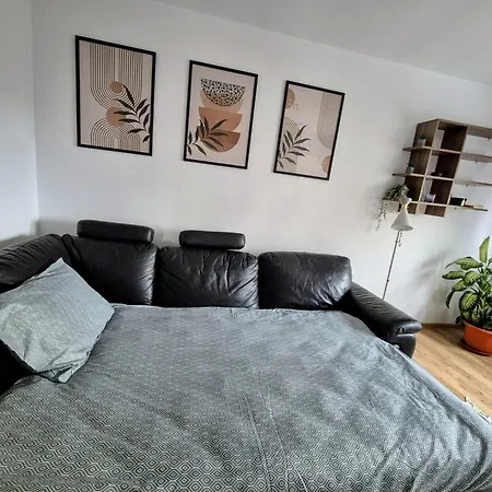 Pinters Apartment Timisoara